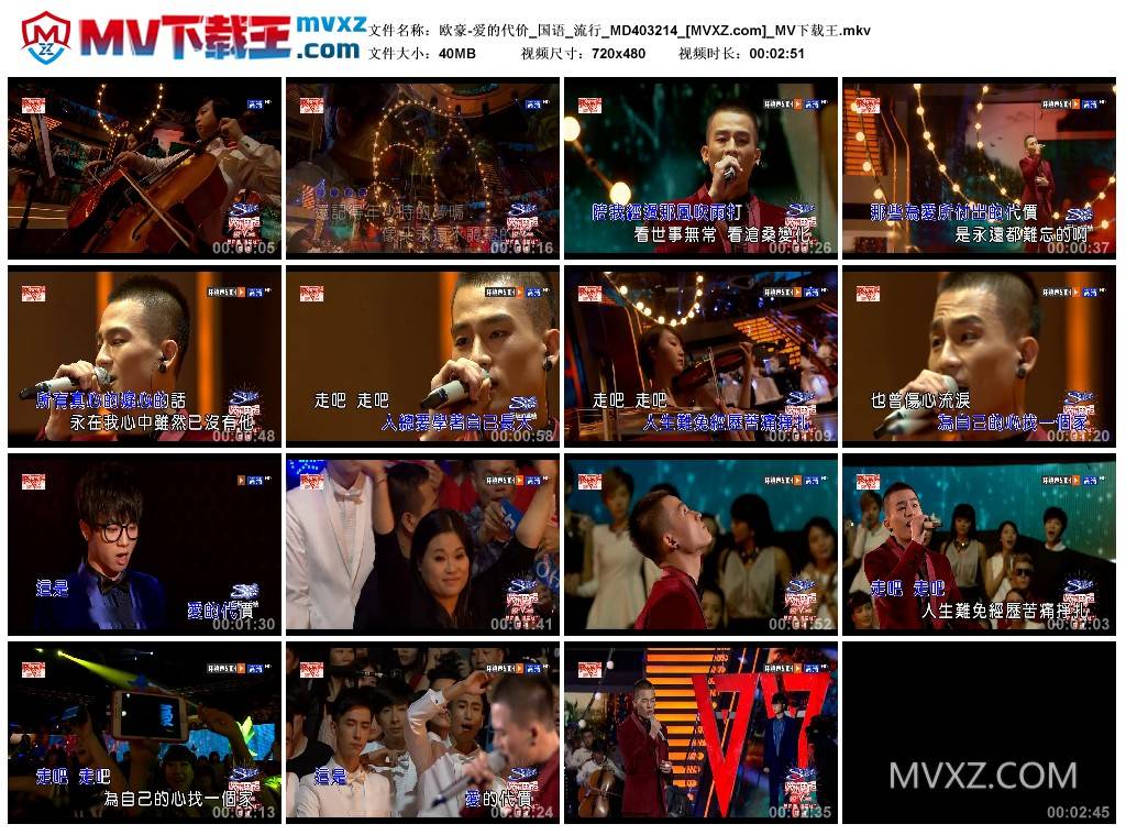 欧豪-爱的代价_国语_流行_MD403214